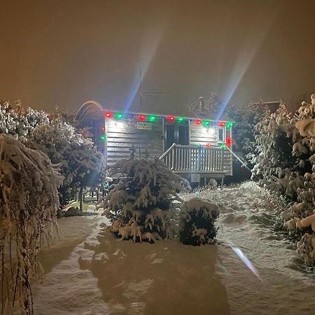 Blidworth The Little John Petite Cosy Log Cabin - Sleeps 2, Great For Romantic Breaks, Couples, Single Guests, Near Sherwood Forest At Fairview Farm, Nottingham Set In 88 Acres מראה חיצוני תמונה