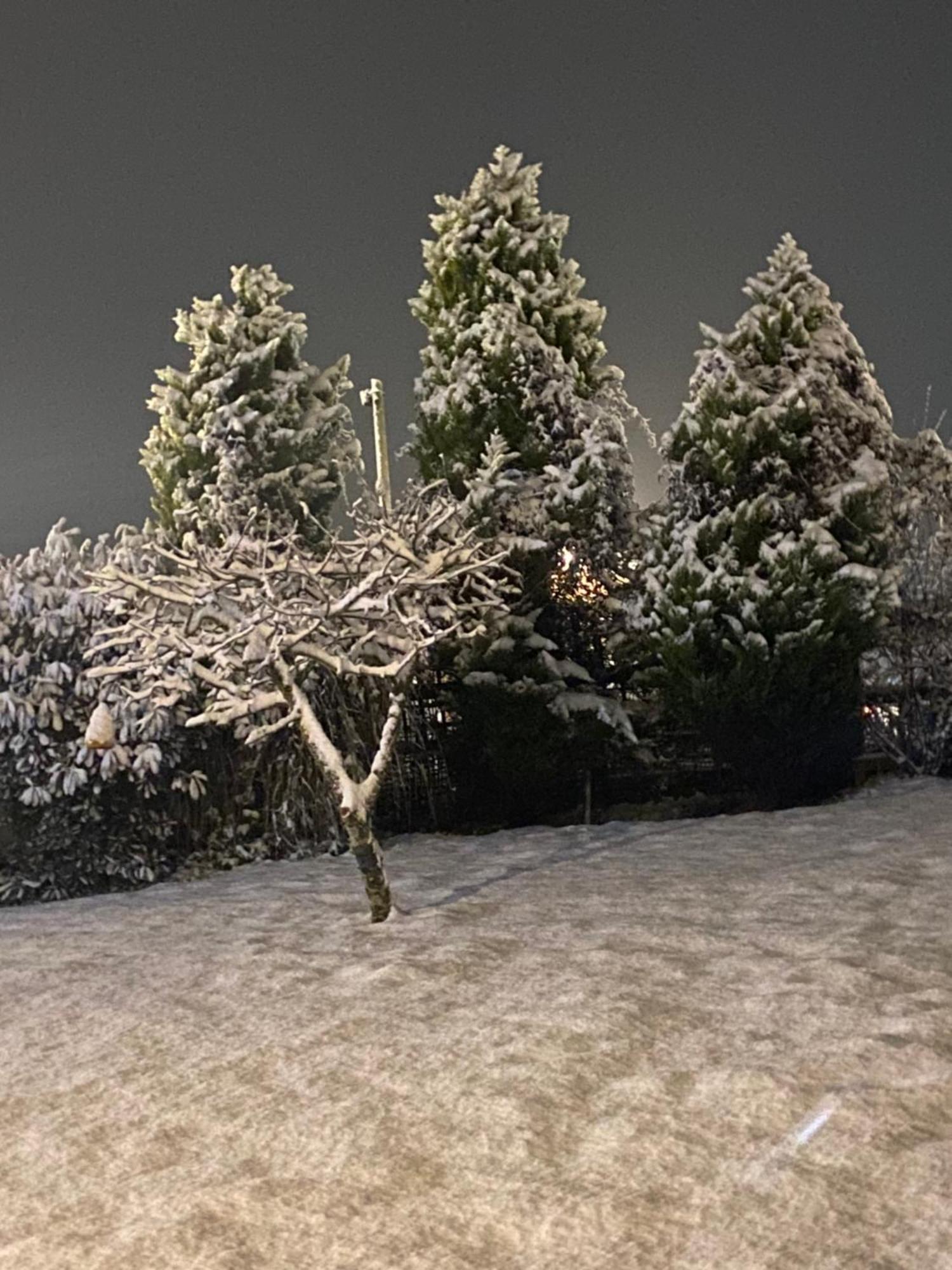 Blidworth The Little John Petite Cosy Log Cabin - Sleeps 2, Great For Romantic Breaks, Couples, Single Guests, Near Sherwood Forest At Fairview Farm, Nottingham Set In 88 Acres מראה חיצוני תמונה