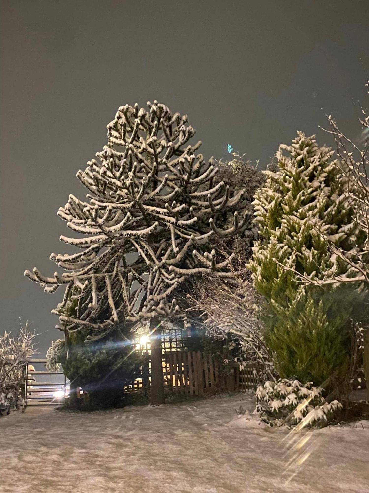 Blidworth The Little John Petite Cosy Log Cabin - Sleeps 2, Great For Romantic Breaks, Couples, Single Guests, Near Sherwood Forest At Fairview Farm, Nottingham Set In 88 Acres מראה חיצוני תמונה